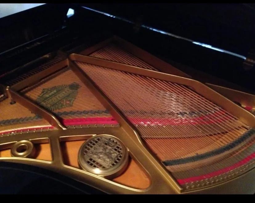 Piano de cauda Petrof  - Foto 2
