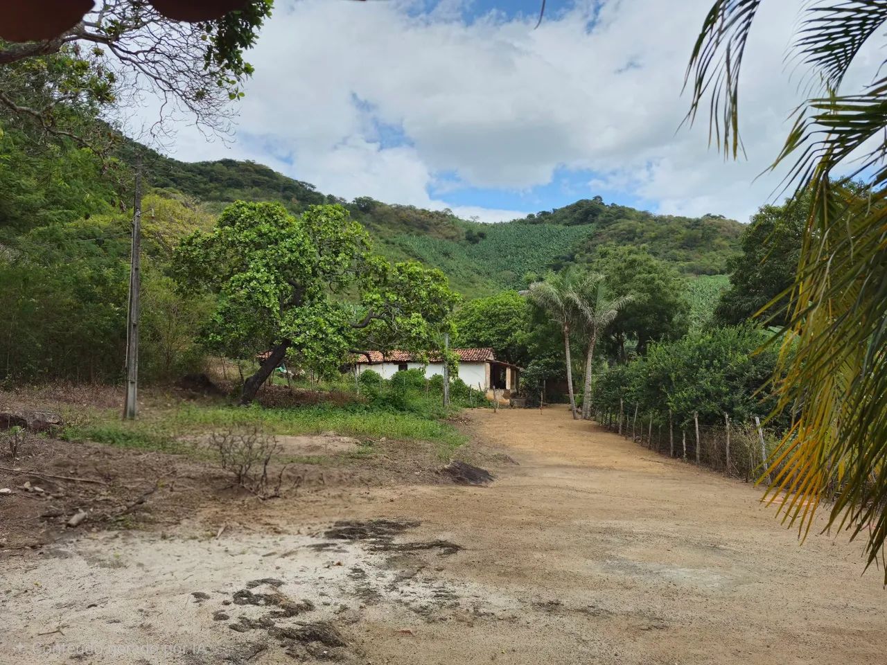 Sitio na Comunidade Jordão dos Almeida  - Foto 2