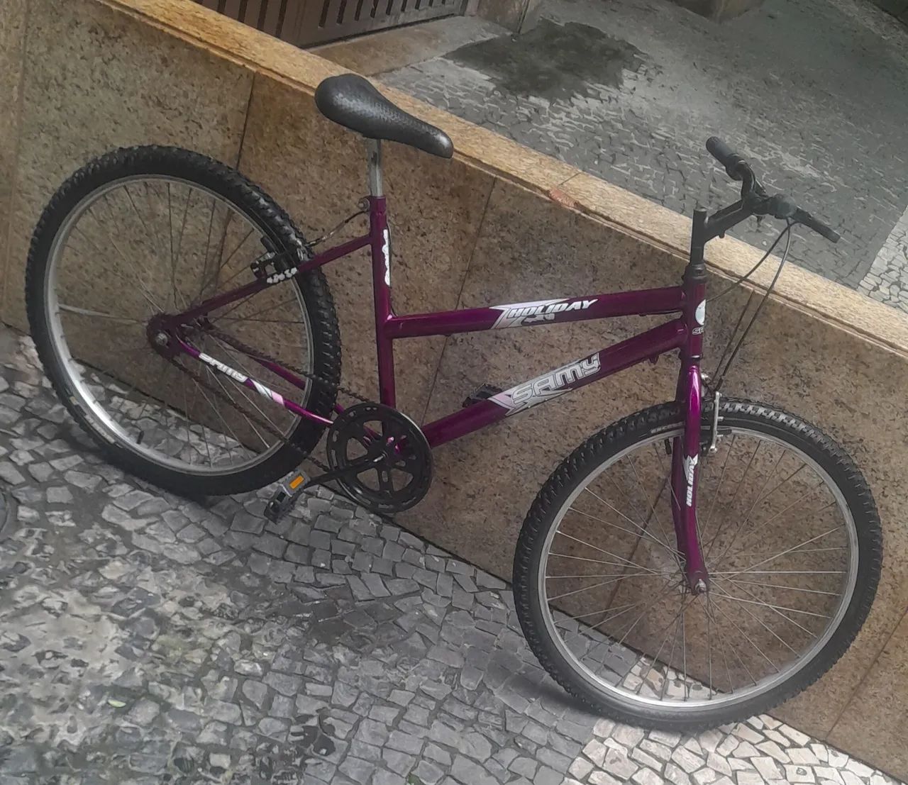 Bicicleta 