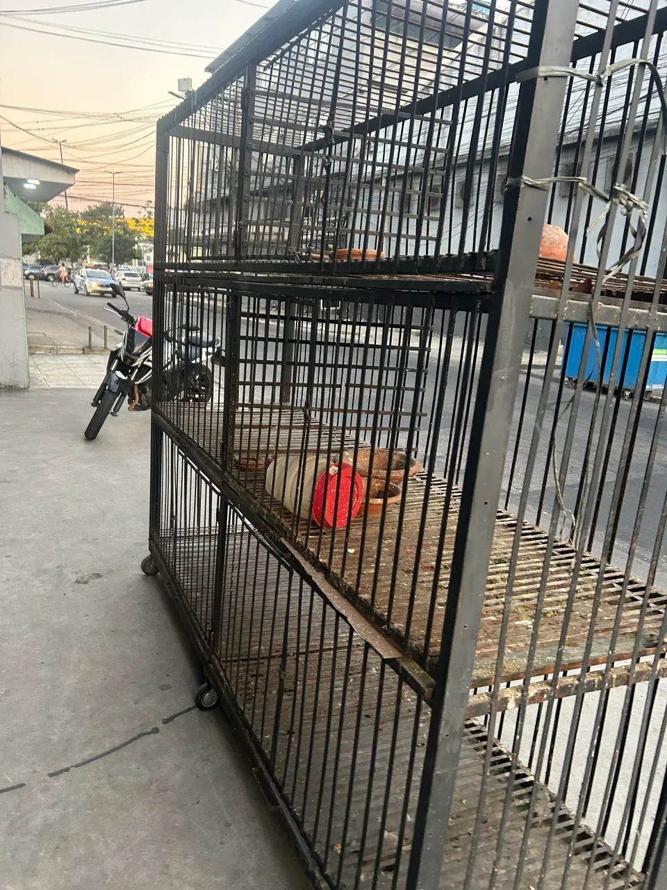 Viveiro para criação de animais  - Foto 3