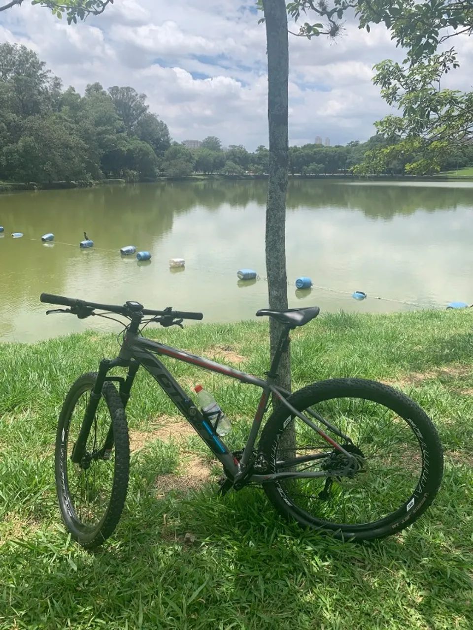 Bicicleta - Foto 2