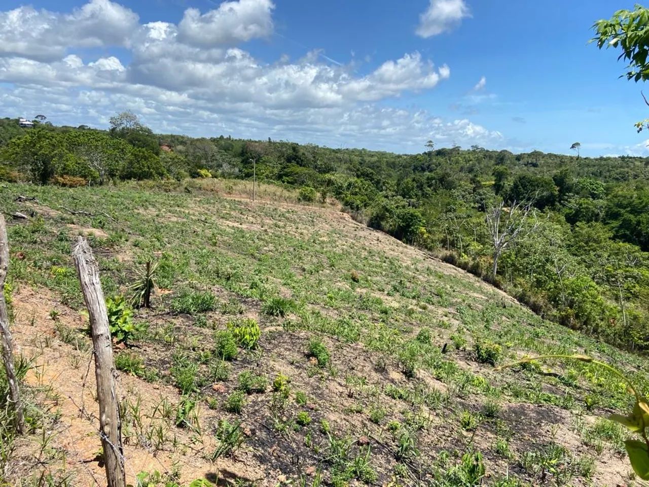 Vendo terreno em Imbassaí - Foto 4