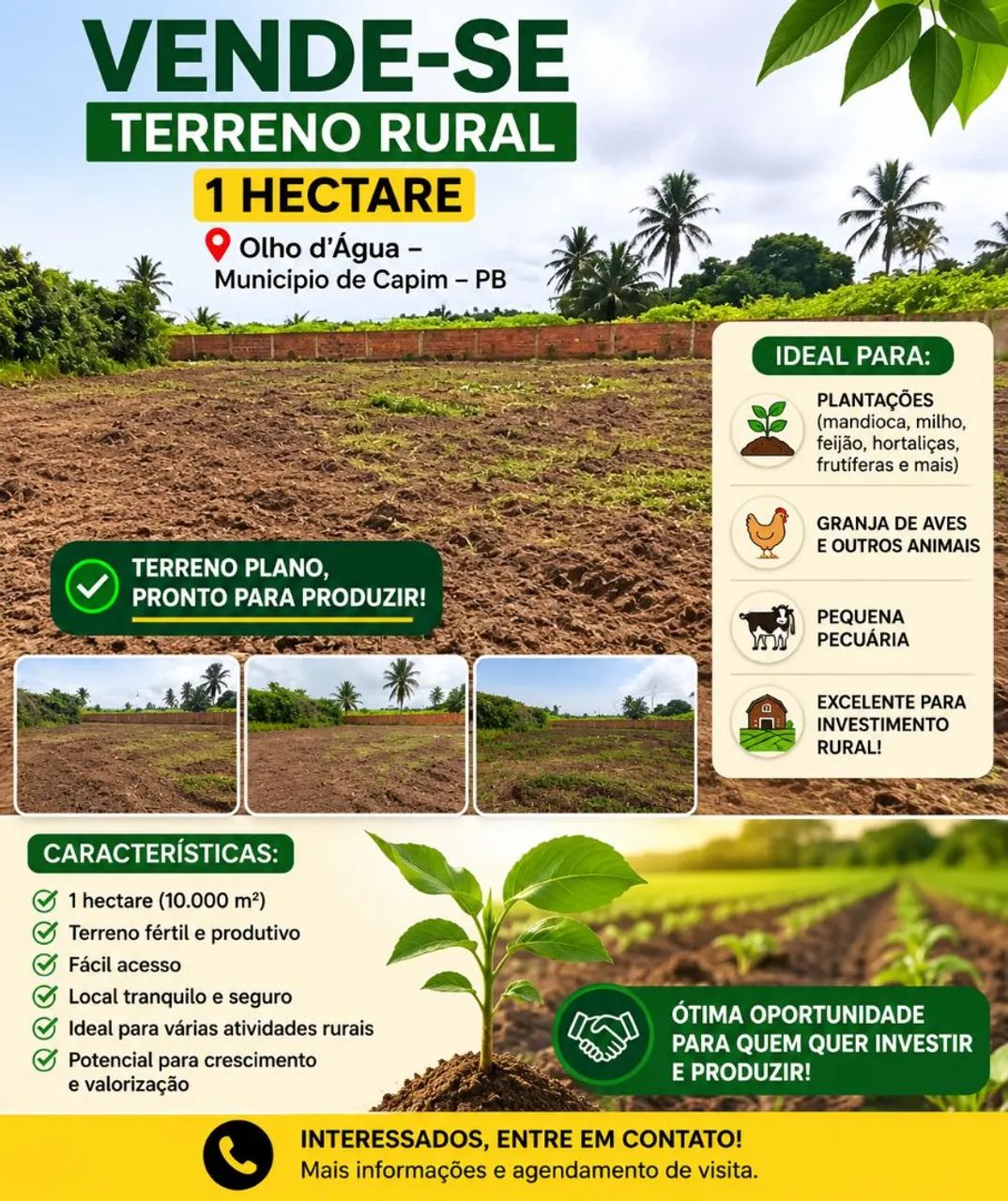 Terreno 