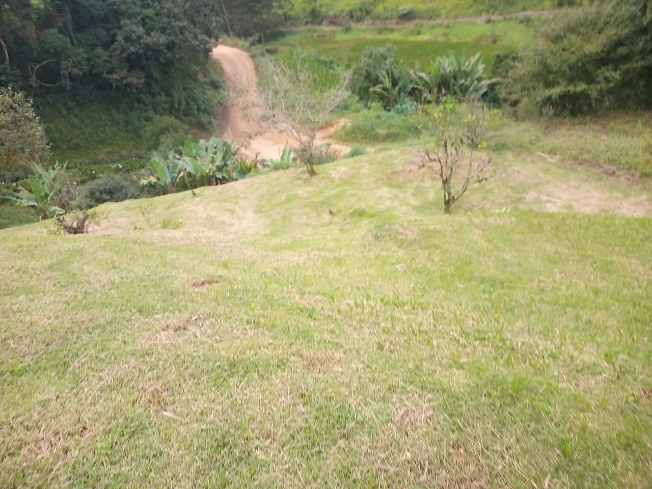 Sítio pedra azul 5 Alqueires  - Foto 4