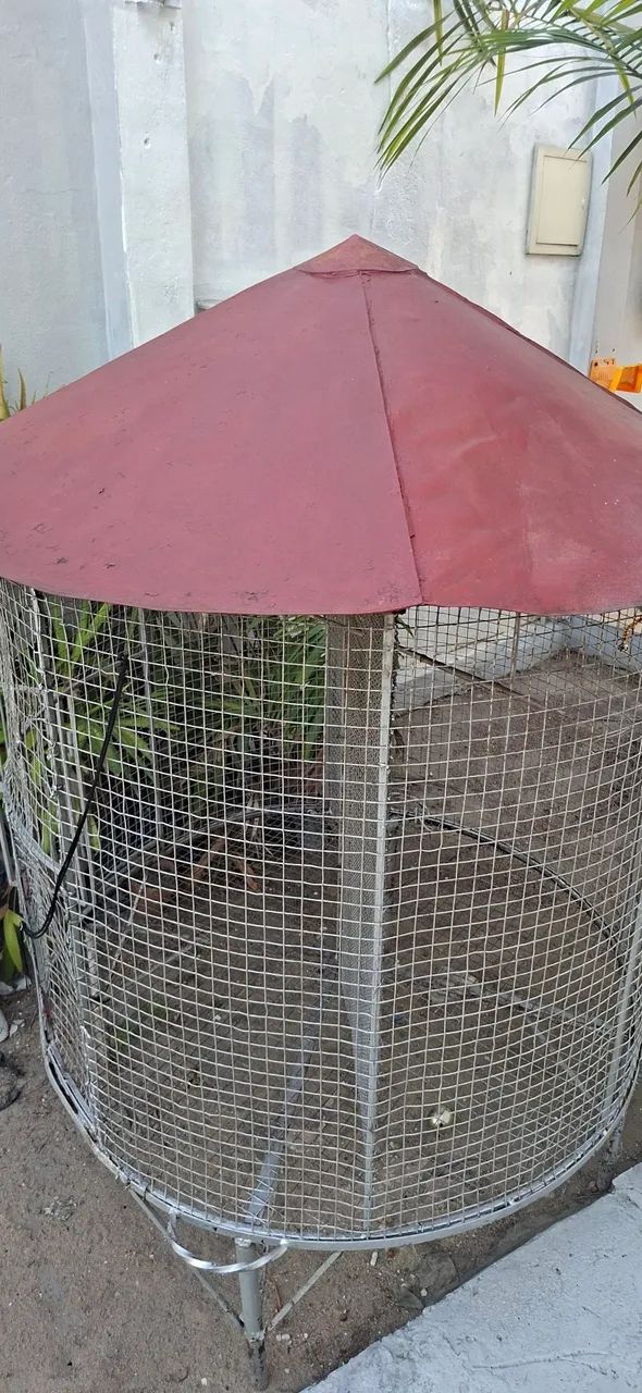 Gaiola Grande  - Foto 3