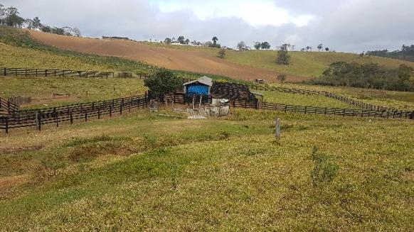 Itapetininga Região Fazenda 100 Alqueires - Foto 15
