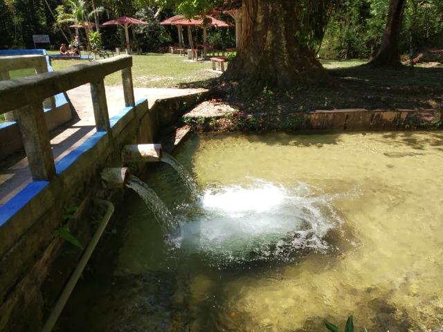 Lote Condomínio Ecológico Denpasa - Foto 4