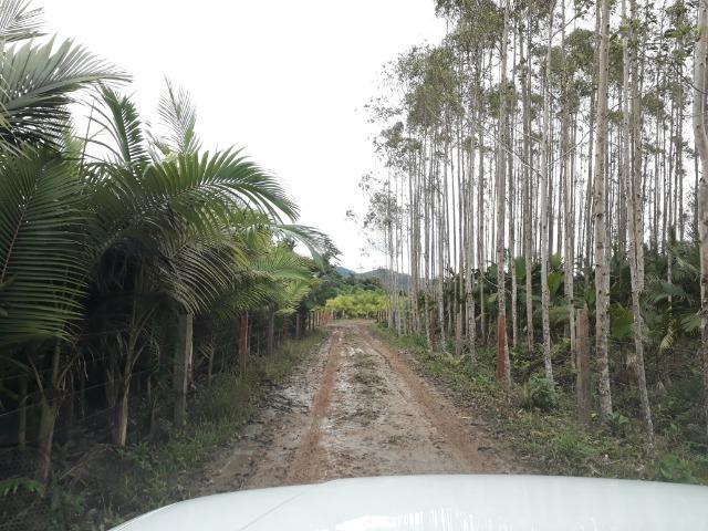 Fazenda Plana em Itapoá, Criação de Gado ou Plantio, Aceita Parte em Permuta - Foto 16