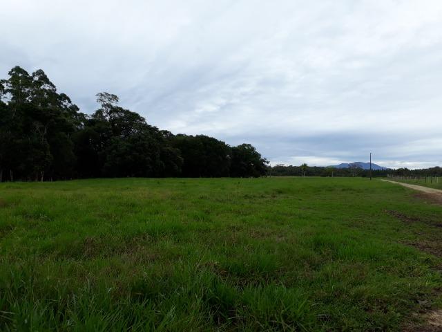 Fazenda Plana em Itapoá com Valor de Ocasião, Aceita parte em Permuta - Foto 16