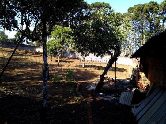 TERRENO no bairro São Braz - 19 - Foto 6
