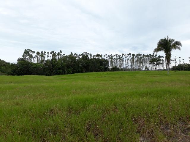 Fazenda Plana em Itapoá com Valor de Ocasião, Aceita parte em Permuta - Foto 17
