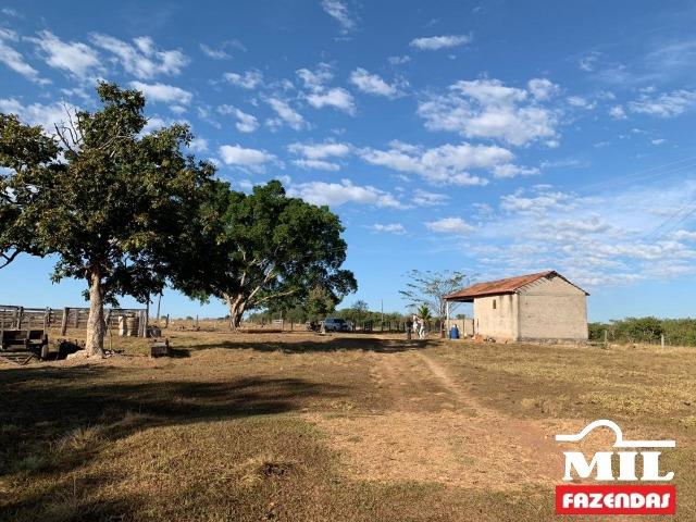 4 km de margens do Rio Araguaia. Fazenda 96 alqueires 464.64 Hectares - Aragarças-GO - Foto 10