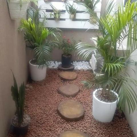 Otimize paisagismo e jardinagem - Foto 4