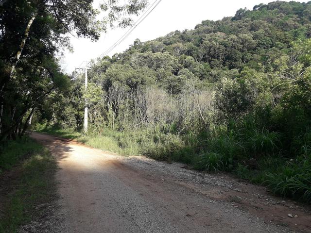Chácara com 2 alqueires Barra santa rita/Campo magro - Foto 7