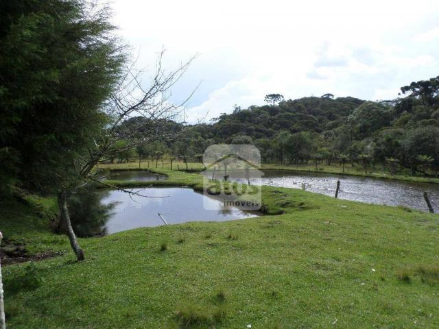 Chácara residencial à venda. - Foto 10