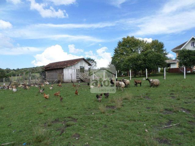 Chácara residencial à venda. - Foto 11