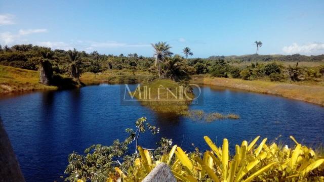 Terreno à venda em Taipu de fora, Maraú cod:57863649 - Foto 2