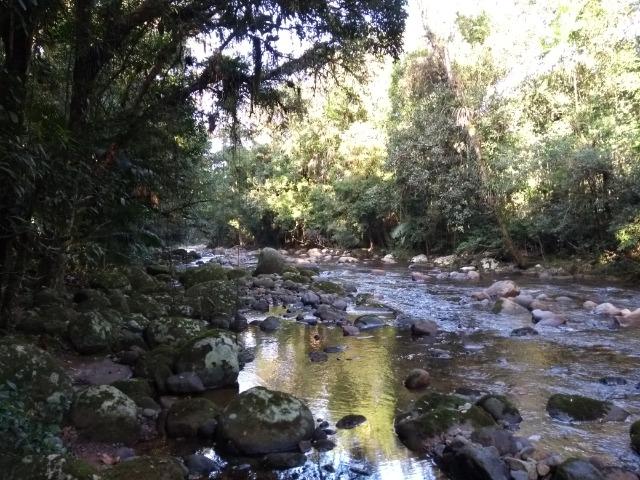 Terreno medindo 17 mil metros com rio e documentação - Foto 4