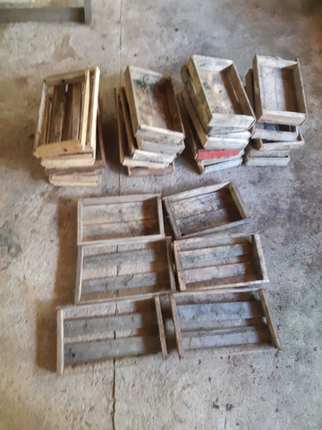 Caixas de madeira para viveiros. 