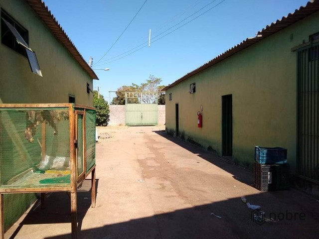 Galpão à venda, 700 m² por R$ 800.000,00 - Zona Rural - Santa Rosa do Tocantins/TO - Foto 4