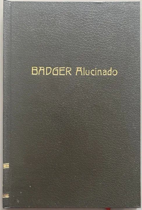 Badger Alucinado Minissérie Completa (Box de Luxo - Ed. Abril - 1991) - Foto 4