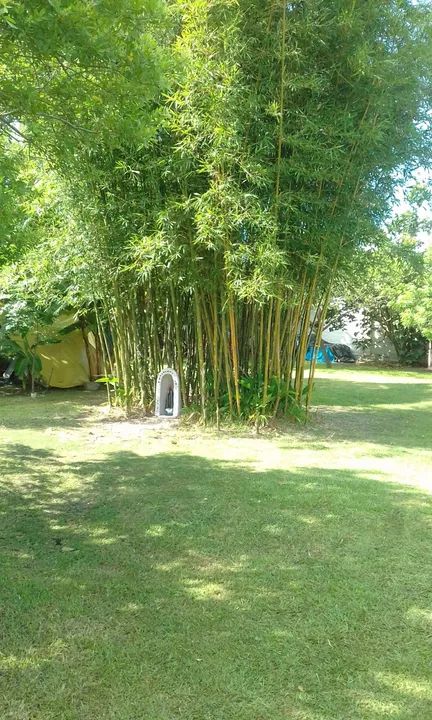 Veraneio capão da canoa rs  - Foto 4