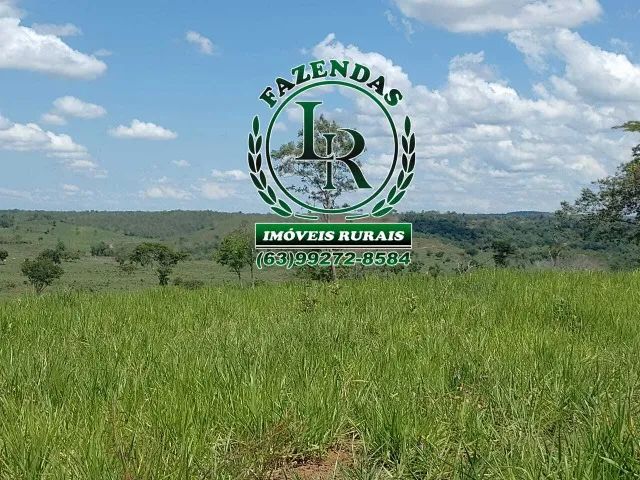 Fazenda 138 Alqueires Próximo a Palmas - Foto 3
