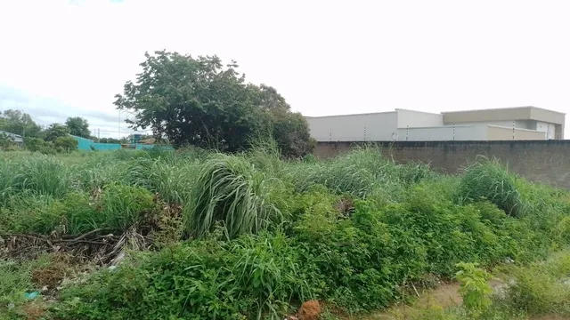 Terreno no Santa Cecília