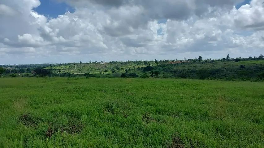 Terrenos - Feira de Santana - Humildes 200 m2 - Foto 8