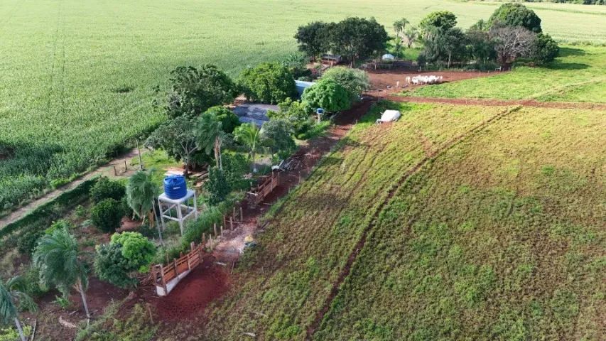 Chácara de 6 Hectares Bem Montada em Jaraguari-MS! - Foto 4