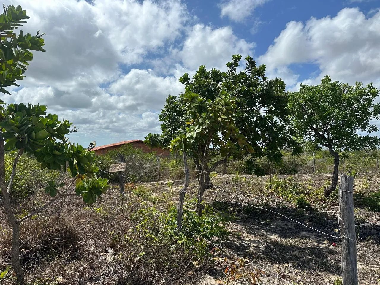 Terreno em barreirinha  - Foto 4