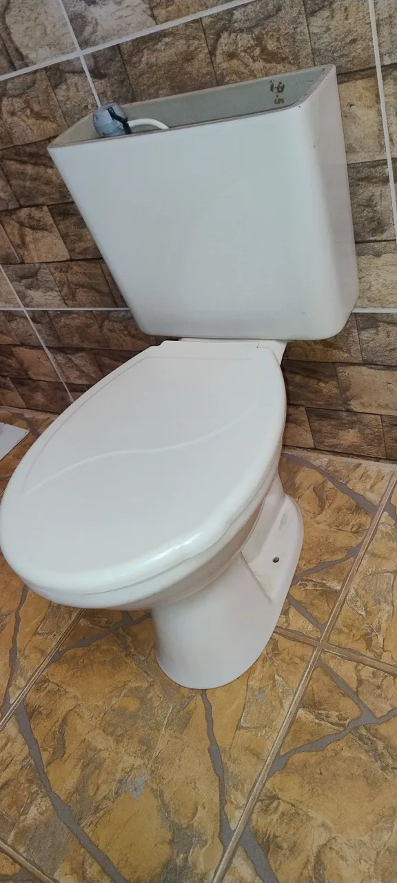 Vaso sanitário branco