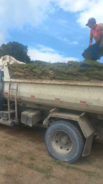 Grama tipo Esmeralda a partir de R$10 m²