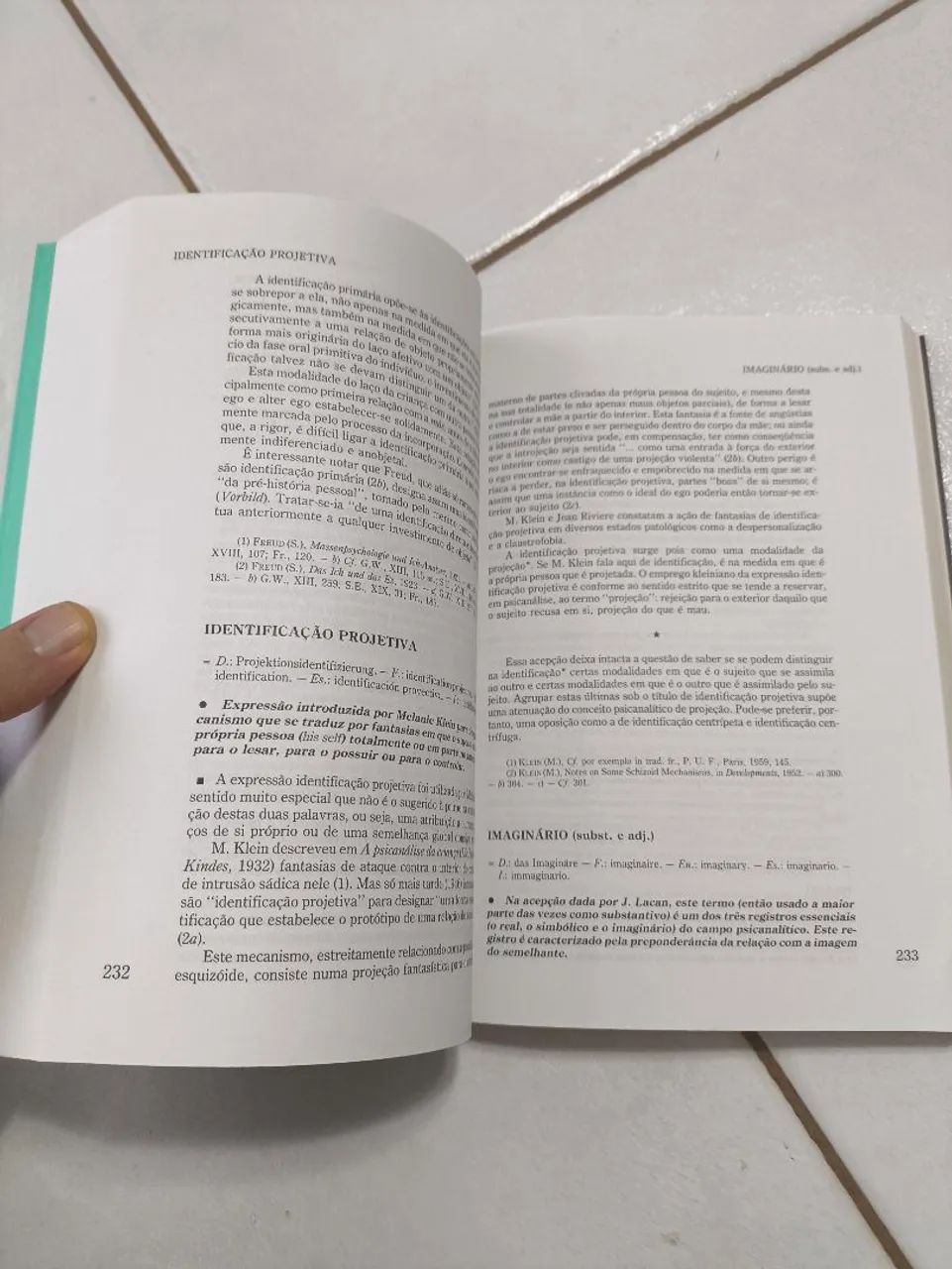 Vocabulário da Psicanálise, de Laplanche e Pontalis. Editora