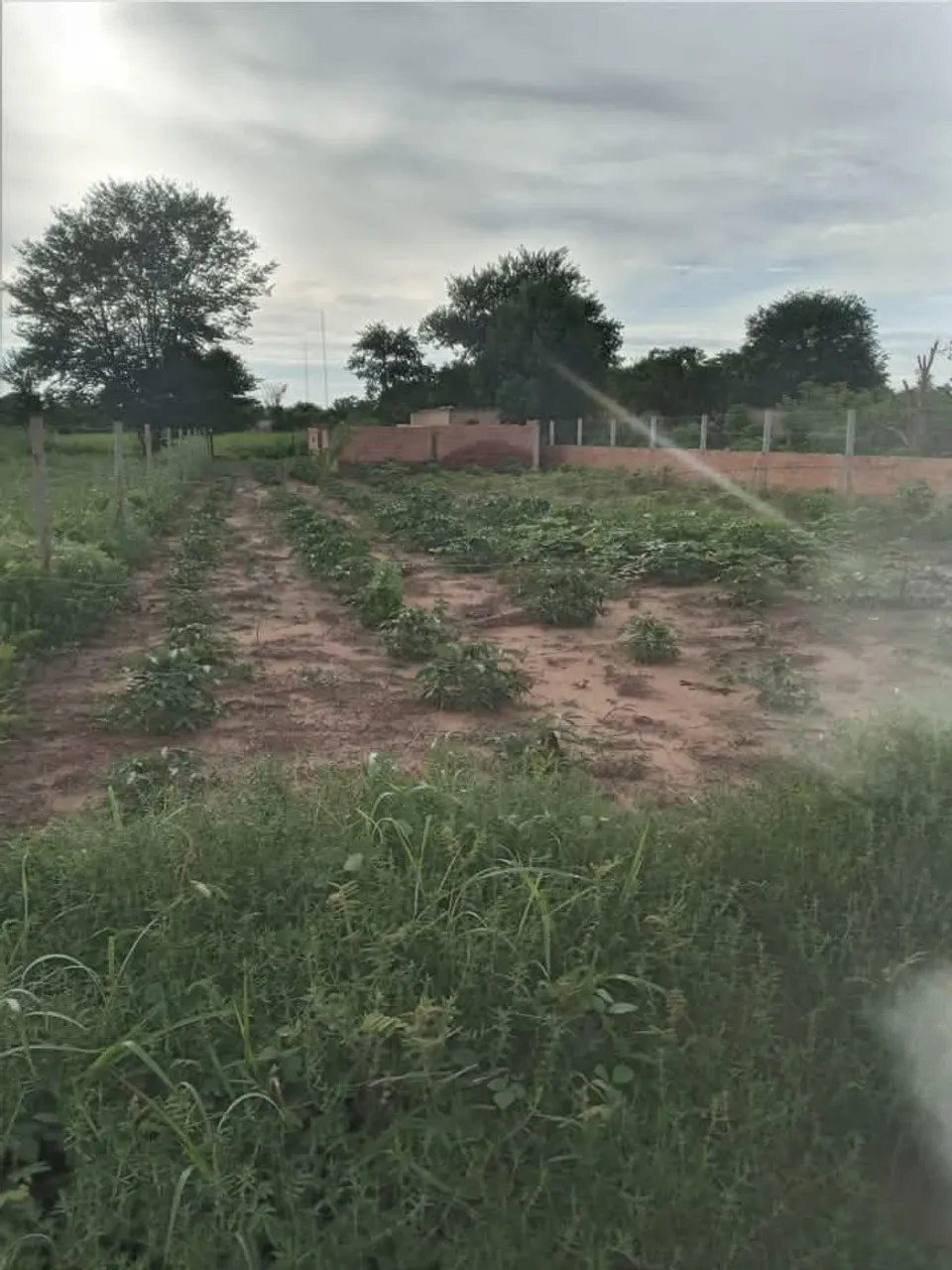 Vendo um lote com metade de uma casa construída