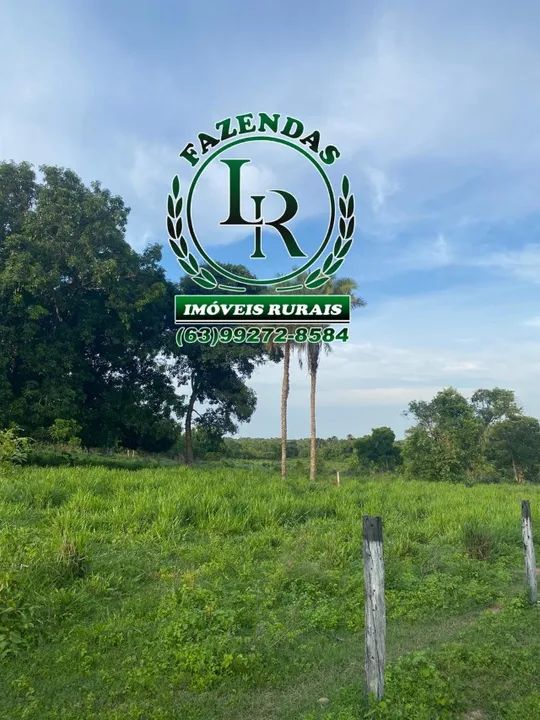 Fazenda 38 Alqueires Tocantins - Foto 3