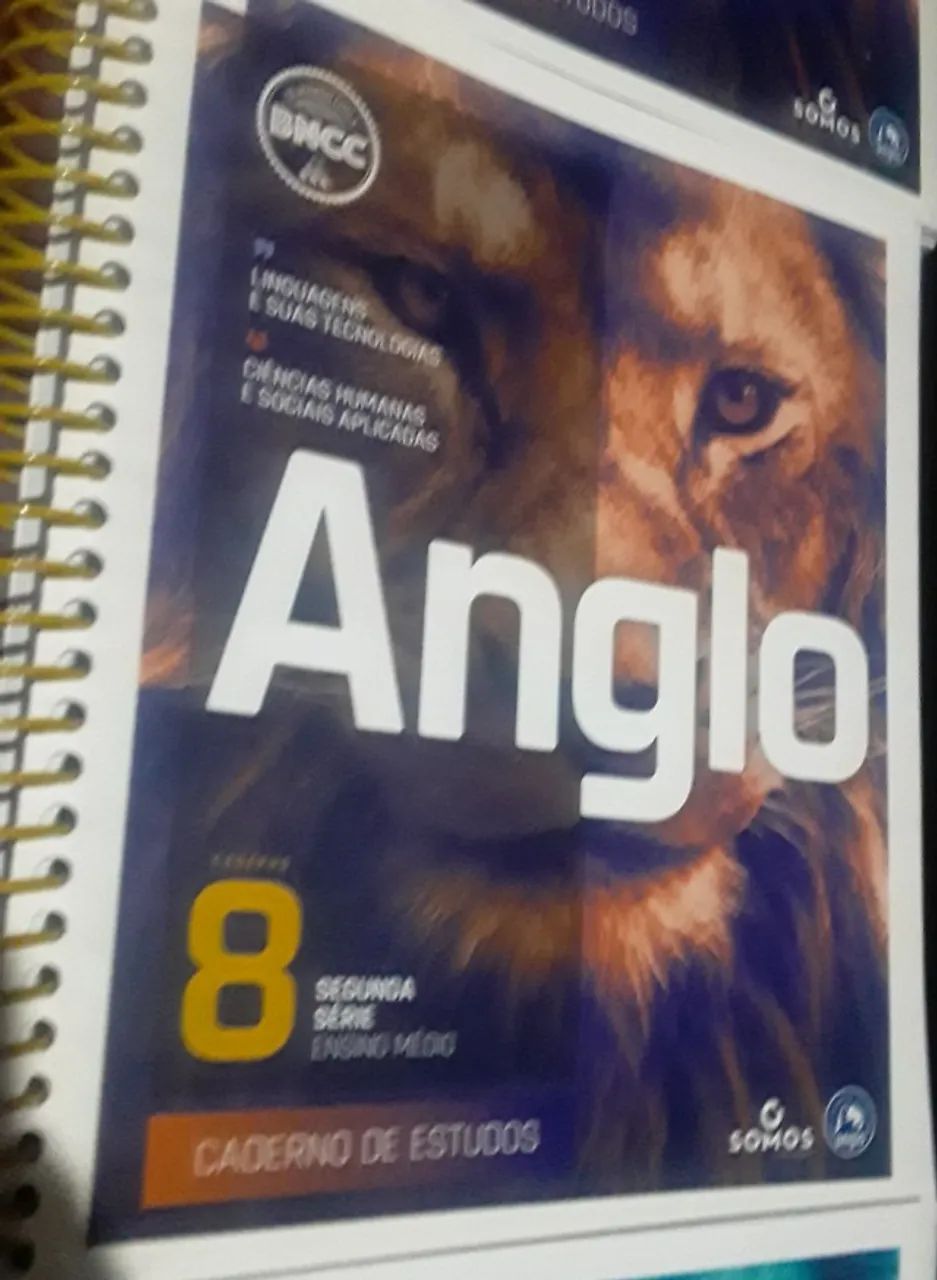 Anglo Caderno De Estudo, E Do Aluno 2° Série Do Ensino Médio - 12 Volumes - Ano 2023 - Foto 6