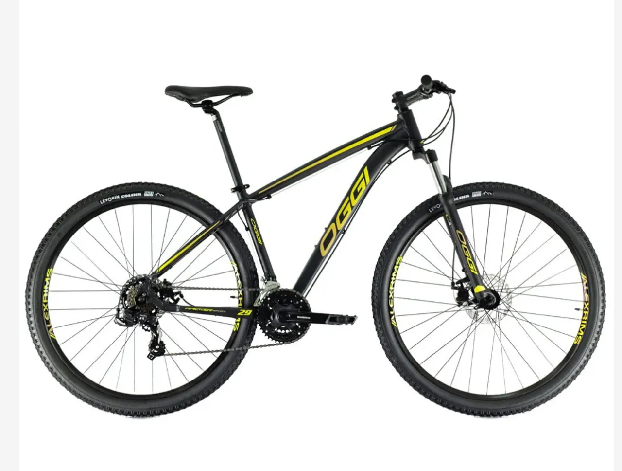 Bicicleta Oggi