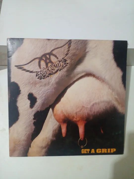 Aerosmith get a grip duplo