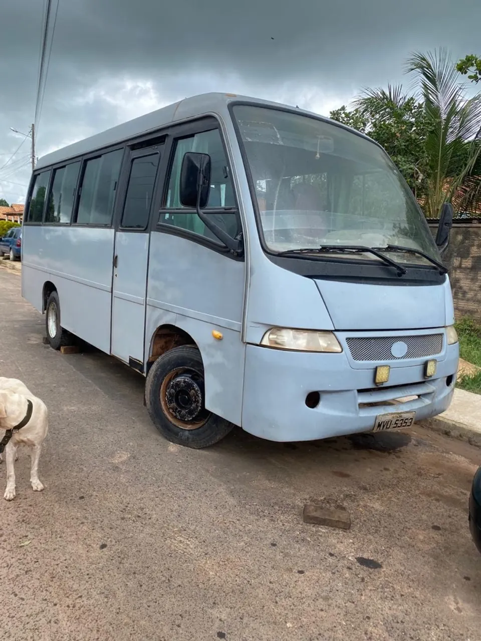 Microônibus