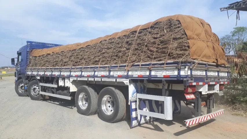 Grama Direto da Roça - Foto 3