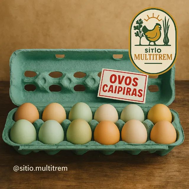 ovos64304159048578120