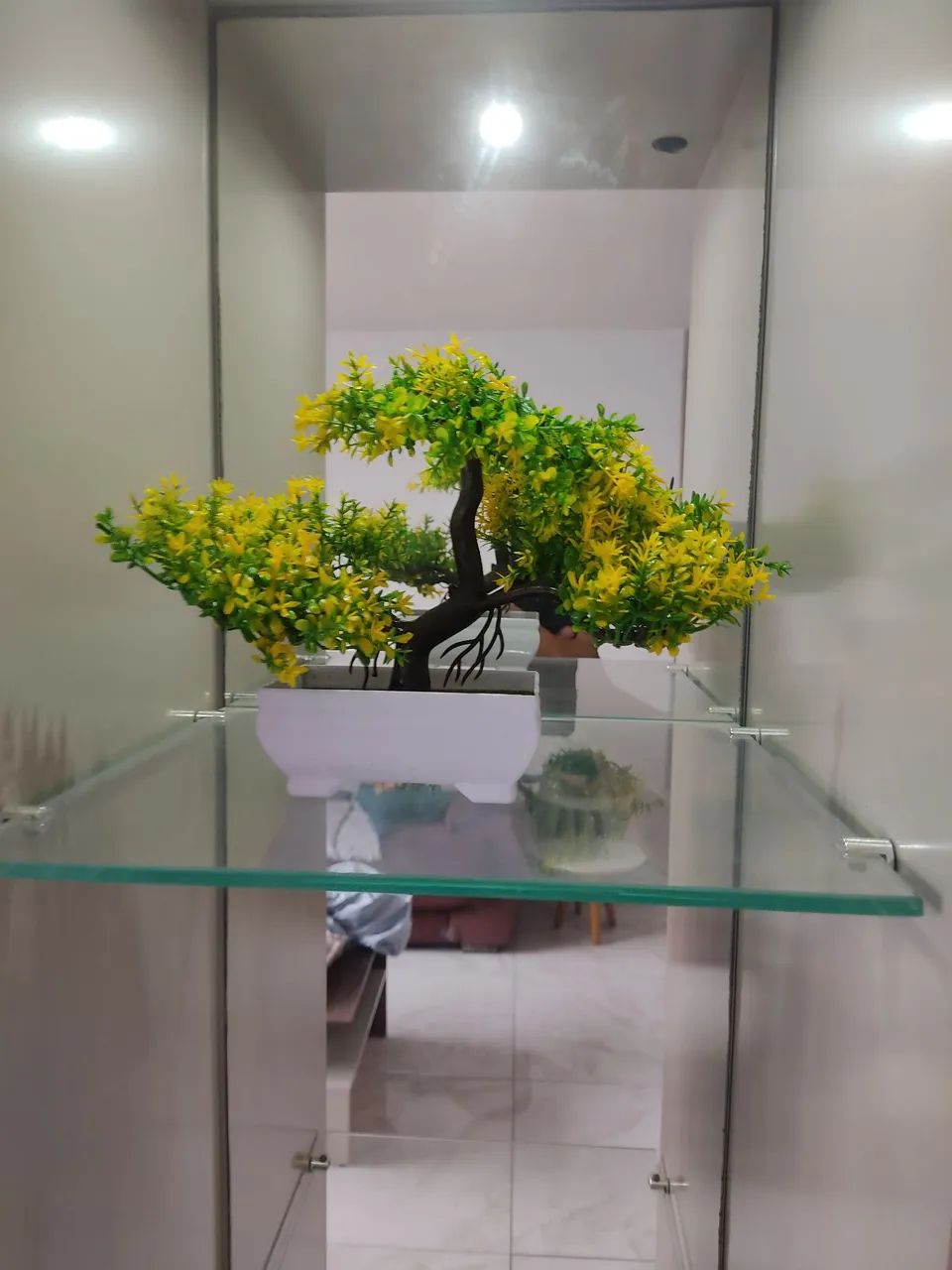 Bonsai planta artificial  - Foto 6