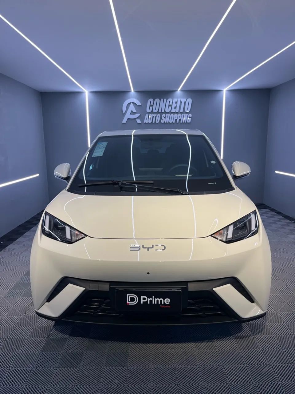 BYD Dolphin Mini (Elétrico) 2027 - Foto 2