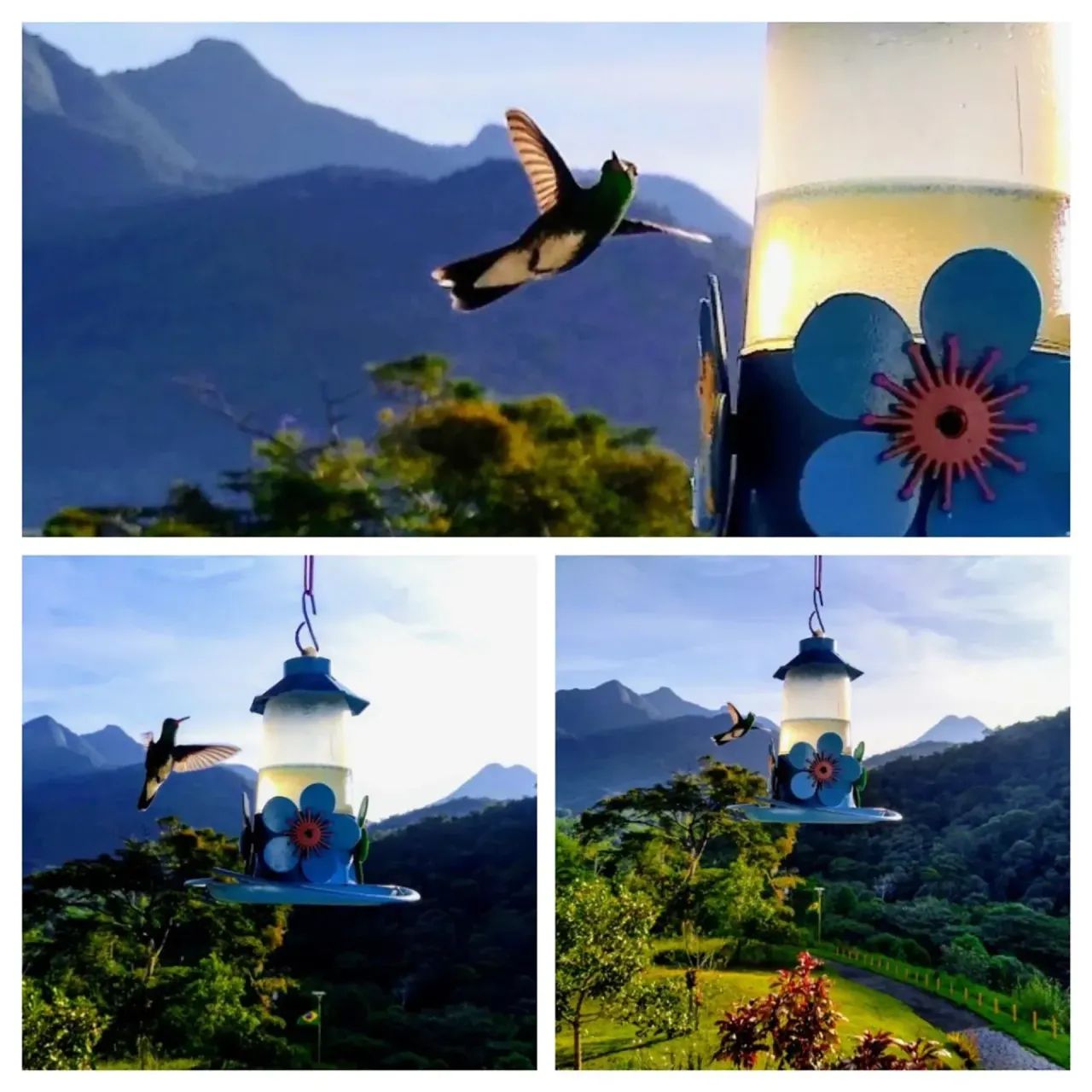 VENDO BELA POUSADA EM PARATY ( 6245 ) - Foto 2
