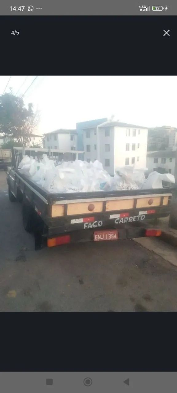 Retiradas de entulhos e podas  - Foto 3
