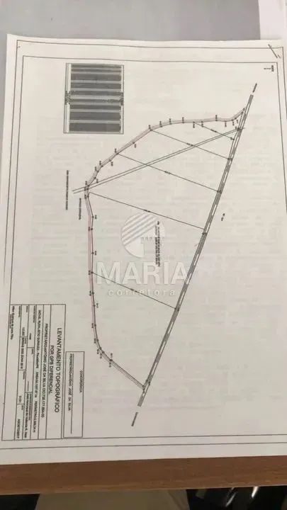 Fazenda de 33.1 Hectares à venda em Aldeia/PE!