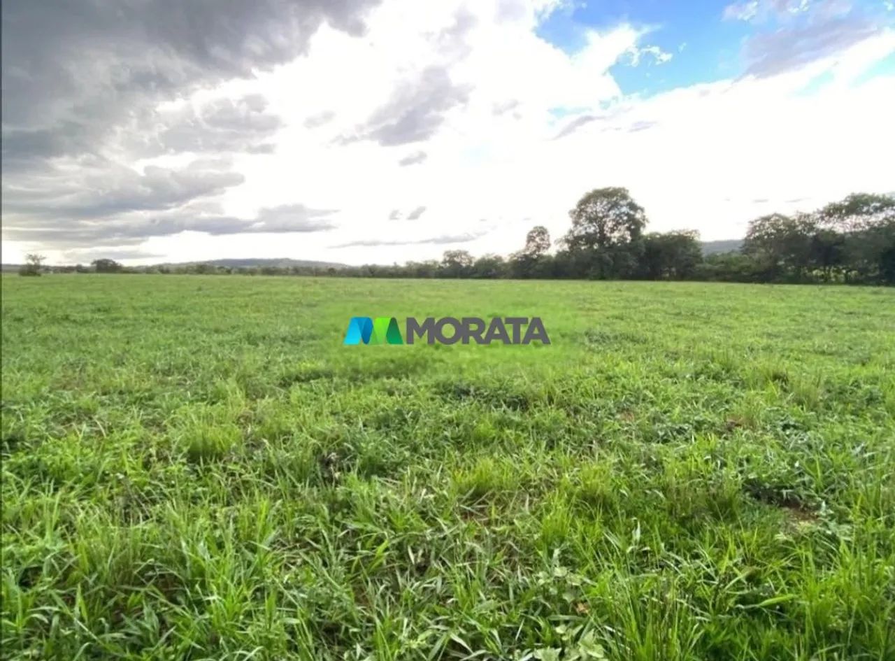 FAZENDA À VENDA - 37 HECTARES - PITANGUI (MG)