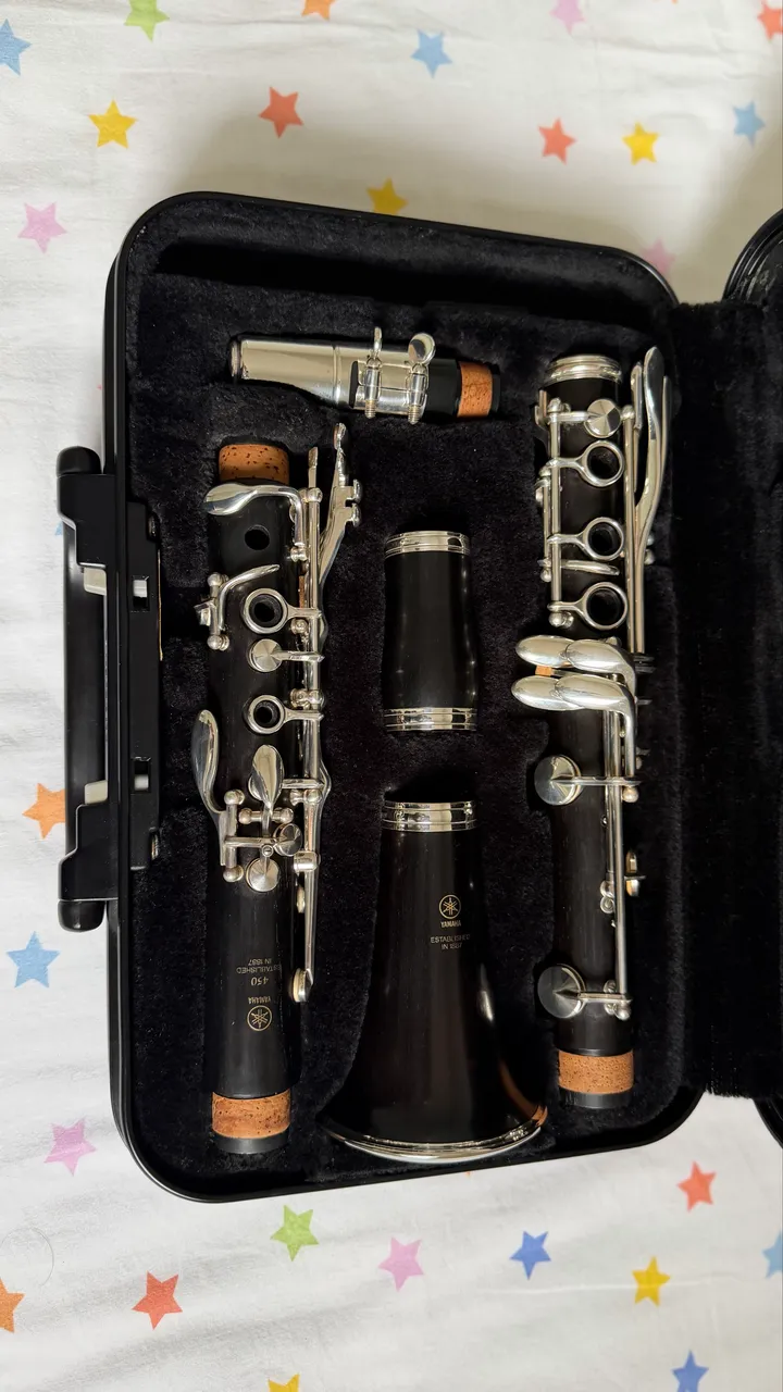 Clarinete Selmer Signet 100 - USA Madeira Zerado - Instrumentos