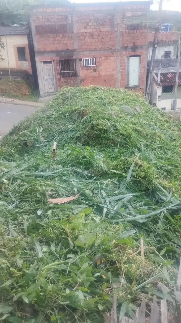 Terreno  - Foto 4